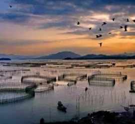 宜宾伴游中国网景点丰富(旅游网介绍)