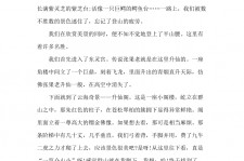 宜宾旅游感想(张家界旅游感想)