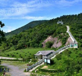 宜宾休闲游(休闲旅游的含义及特点)