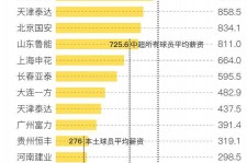 宜宾关于伴游小丽中国足球的信息