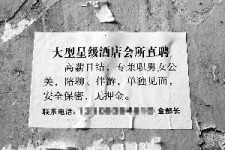 宜宾珠海伴游雇用网(珠海游览社雇用信息)