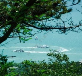宜宾中国伴游网与你分享旅游的点滴(中国伴游网与你分享旅游的点滴是什么)