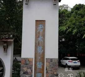 宜宾关于伴游中国伴游你们伴得是什么游的信息