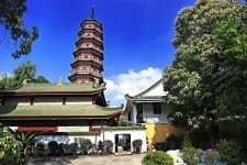 宜宾广州自由行(广州 自由行)