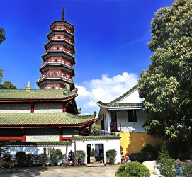 宜宾广州自由行(广州 自由行)