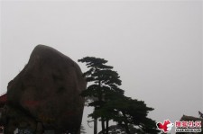 宜宾上海伴游私家陪游雇用女模(上海伴游私家陪游雇用女模特)