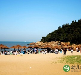 宜宾旅游攻略网(旅游攻略网站哪个好)