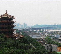 宜宾武汉游玩攻略(武汉游玩攻略ppt)
