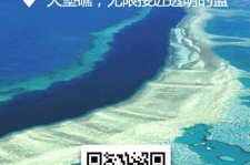宜宾中国250家旅行社结伴游新西兰(新西兰当地旅行社)