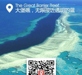 宜宾中国250家旅行社结伴游新西兰(新西兰当地旅行社)