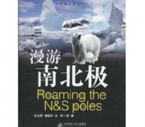 宜宾游记攻略(ps西游记攻略)