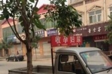 宜宾上海伴游 用伴游造句大全(5