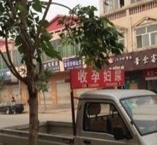 宜宾上海伴游 用伴游造句大全(5
