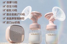 宜宾奶模(奶模型)