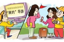 宜宾伴游是什么