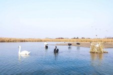 宜宾南昌附近伴游小妹兼职(1534939978姐的微信德惠市)