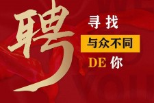 宜宾商务伴游招聘 重庆星级酒店诚招司机服务员夜场保安