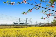 宜宾高铁游(高铁游戏下载手机版)