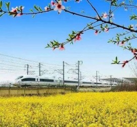 宜宾高铁游(高铁游戏下载手机版)