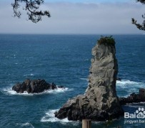 宜宾旅游全攻略(上海旅游全攻略)