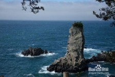 宜宾旅游全攻略(上海旅游全攻略)