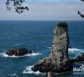 宜宾旅游全攻略(上海旅游全攻略)