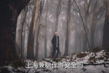 宜宾上海私人伴游 上海伴游，上海兼职伴游安全吗