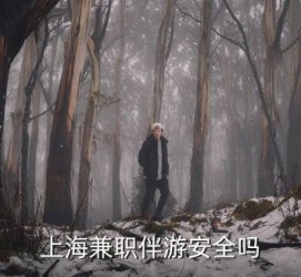 宜宾上海私人伴游 上海伴游，上海兼职伴游安全吗