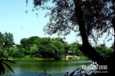 宜宾西湖旅游攻略(上海到杭州西湖旅游攻略)