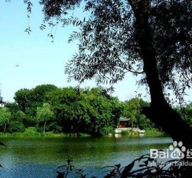 宜宾西湖旅游攻略(上海到杭州西湖旅游攻略)