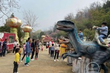 宜宾中国伴游带你打卡网红南山竹海(南山竹海网上预约)