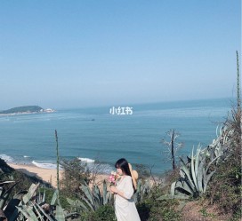 宜宾厦门周边游(厦门及周边旅游攻略)