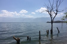 宜宾洱海旅游攻略(洱海旅游攻略自由行)