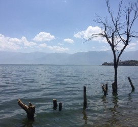 宜宾洱海旅游攻略(洱海旅游攻略自由行)
