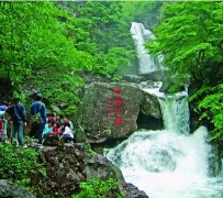 宜宾安吉旅游攻略(湖州安吉旅游攻略)