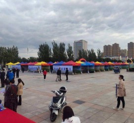 宜宾通辽伴游雇用(哈尔滨伴游雇用)