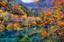 宜宾四川旅游攻略(四川旅游攻略十五日游)