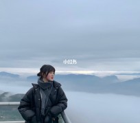 宜宾四日游(朝鲜四日游)