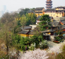 宜宾南京周边游(南京周边游景点大全 自驾车旅游)
