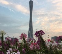 宜宾广州旅游攻略(杭州到广州旅游攻略)