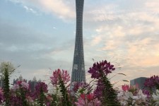 宜宾广州旅游攻略(杭州到广州旅游攻略)