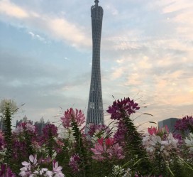 宜宾广州旅游攻略(杭州到广州旅游攻略)