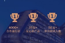 宜宾上海私人伴游 ​ “小而美”的新时代：2020年国内新跟团消费报告