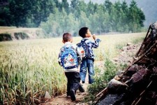 宜宾河南一家四口结伴游中国2个月(河南适合一家四口旅游的地方)