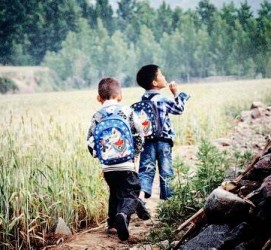 宜宾河南一家四口结伴游中国2个月(河南适合一家四口旅游的地方)