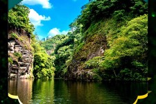 宜宾旅游报价(旅行团旅游报价)