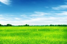 宜宾上海伴游 上海模特伴游微信号的交友宣言