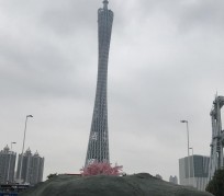 宜宾广州游玩攻略(广州游玩攻略景点大全免费)