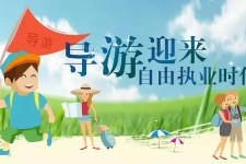宜宾私人伴游 “网约导游”到底是正流行 还是不热闹
