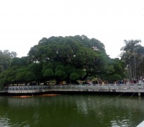 宜宾福州旅游攻略(福州旅游攻略二日游)